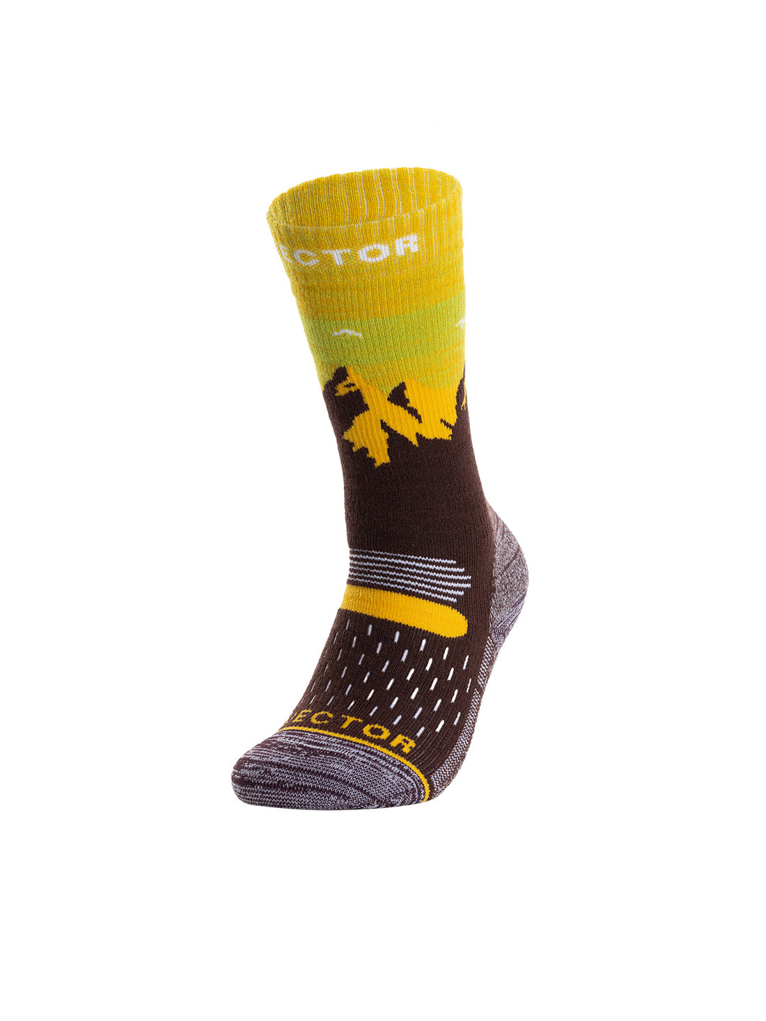 Women's Cushion Snowberg Wool Socks