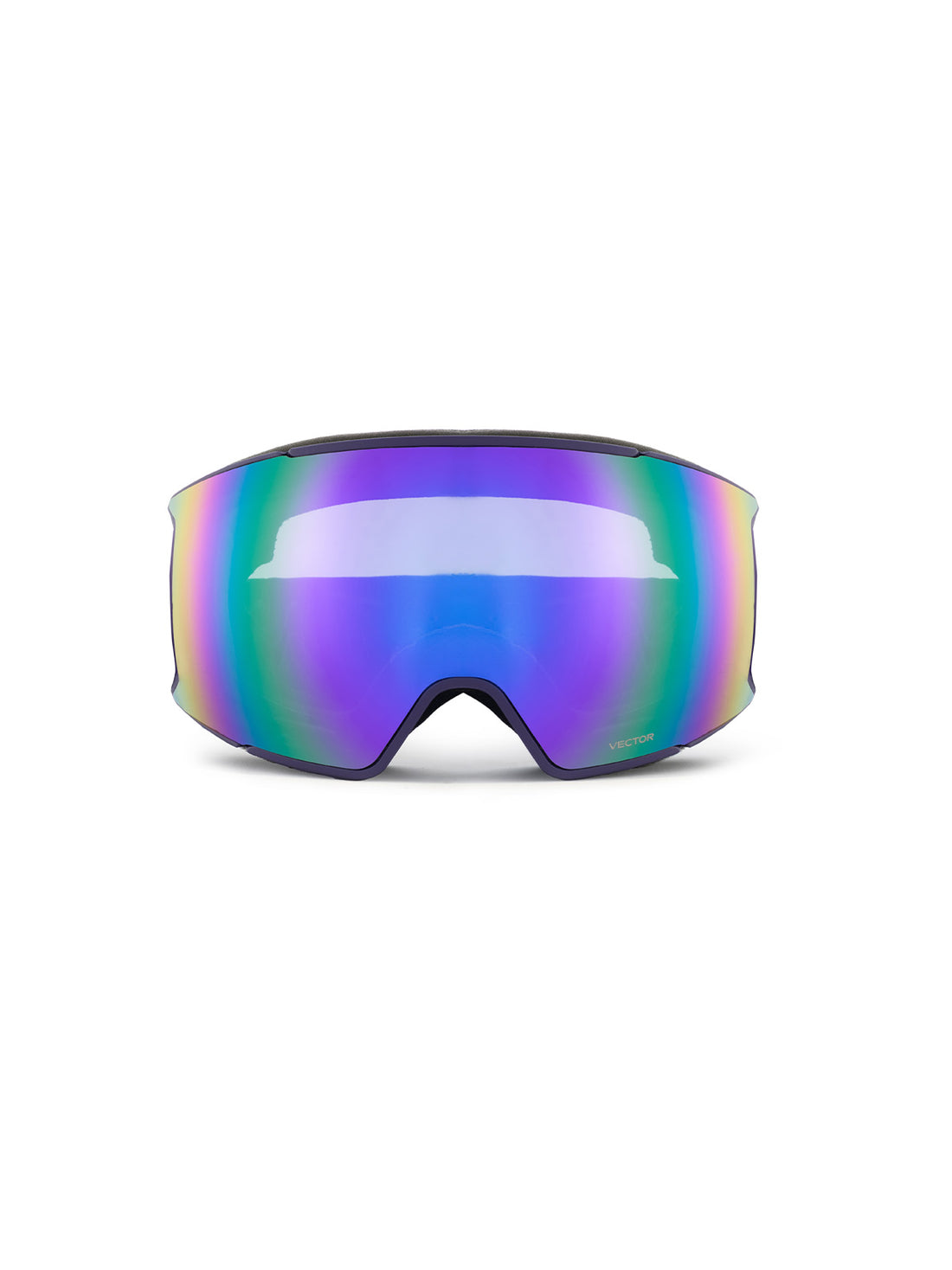 Horizon Snow Goggles