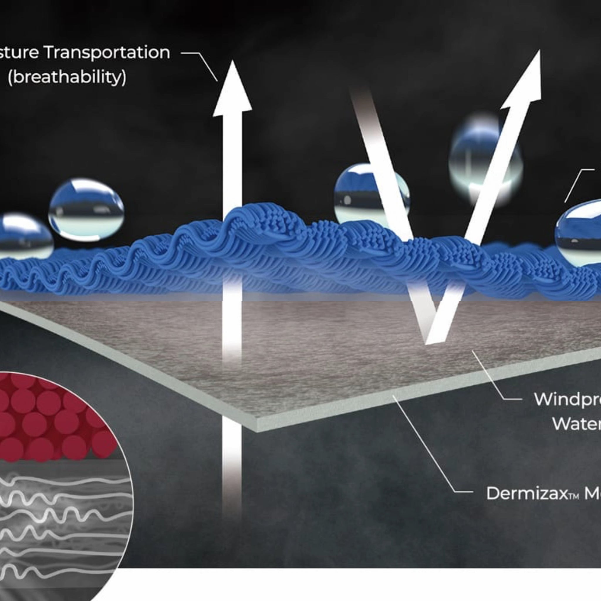 What is Dermizax™