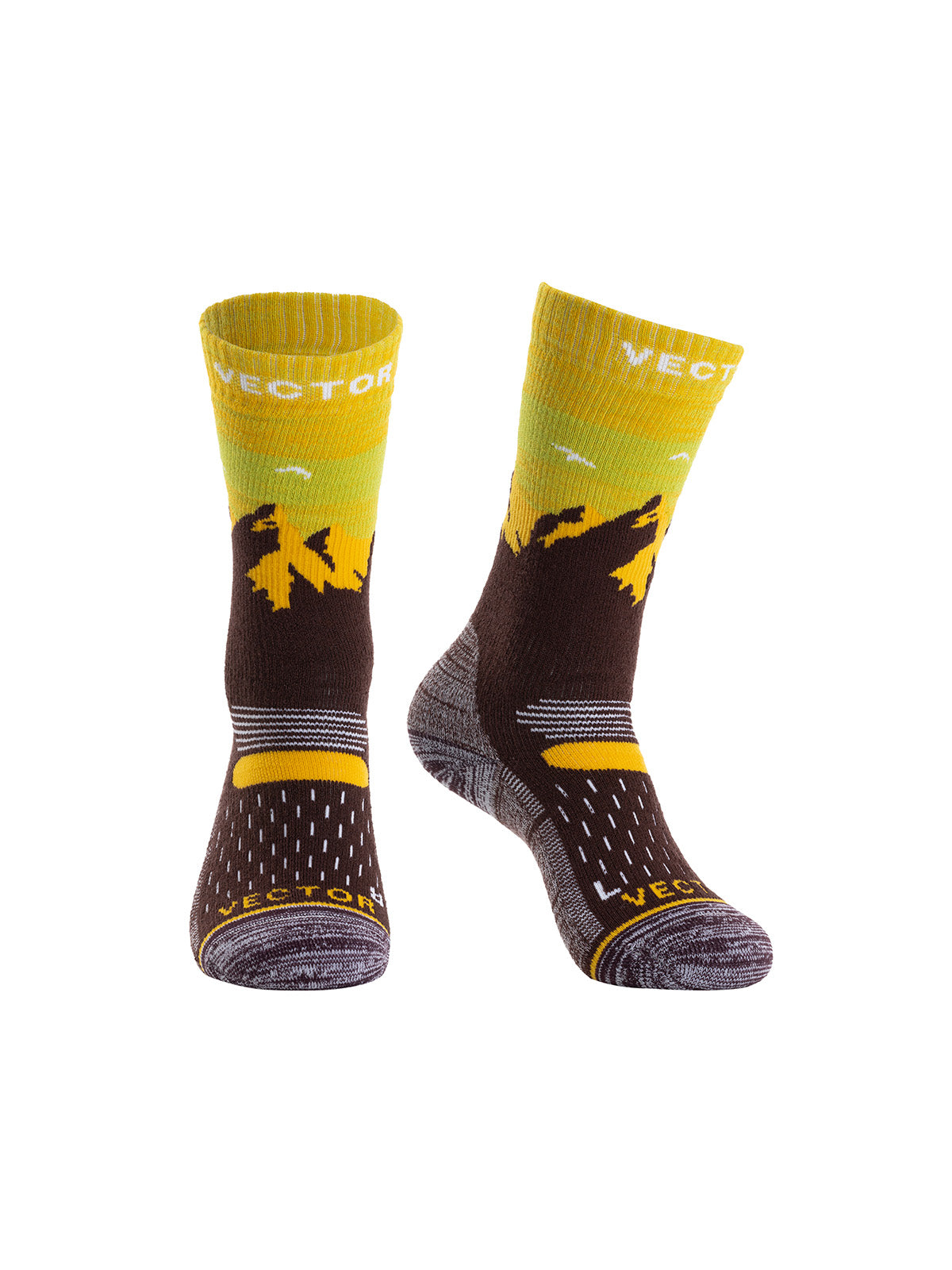 Women's Cushion Snowberg Wool Socks